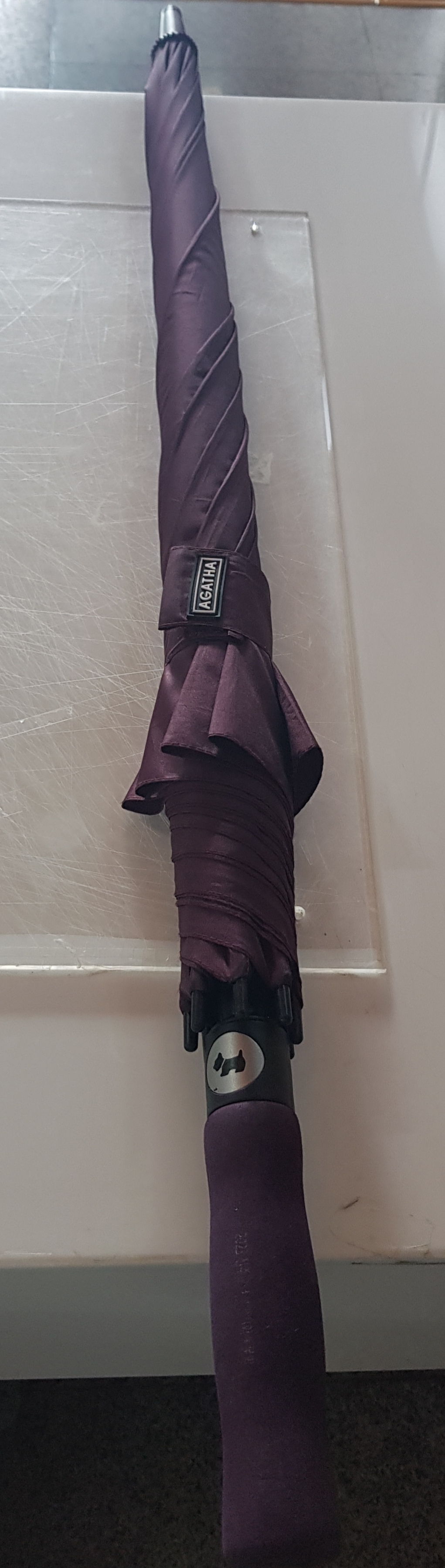 20260719_094355.jpg