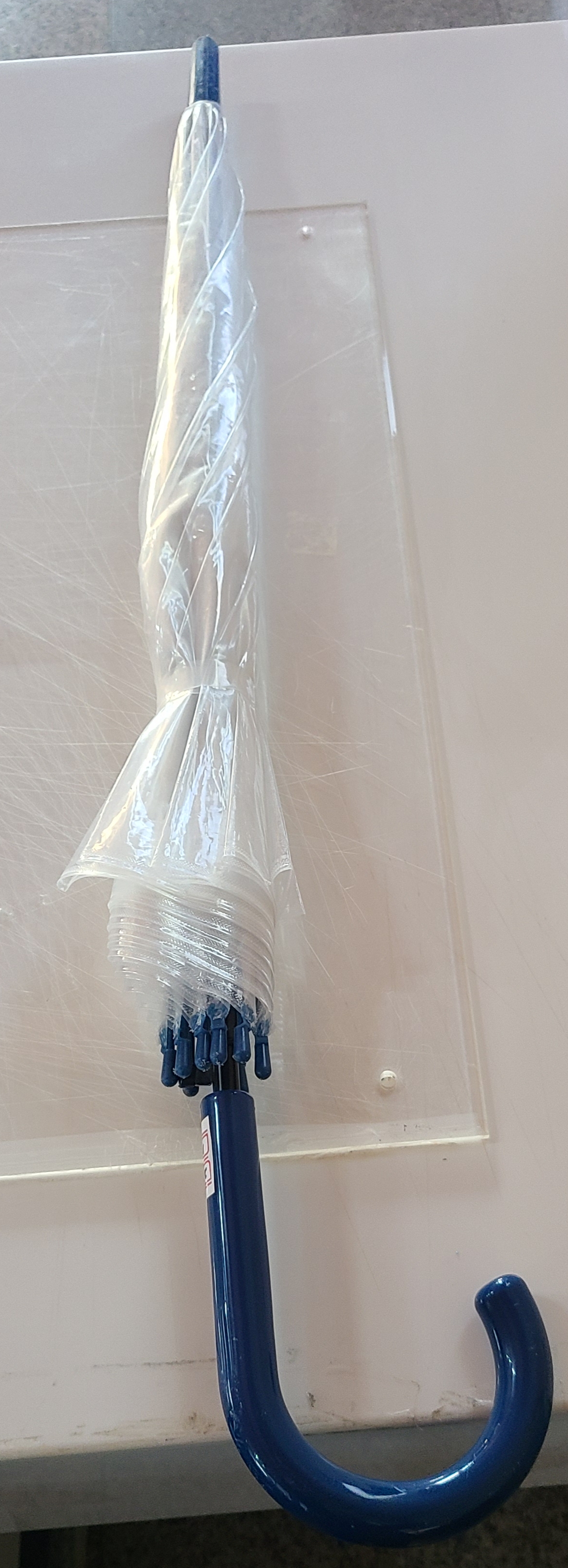 20251026_104743.jpg